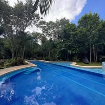 Áreas verdes y alberca