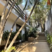 Pasillos y vegetación